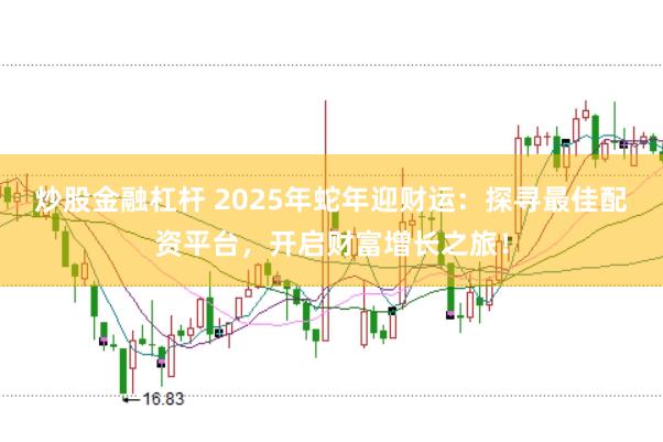 炒股金融杠杆 2025年蛇年迎财运：探寻最佳配资平台，开启财富增长之旅！