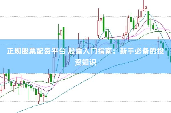 正规股票配资平台 股票入门指南：新手必备的投资知识