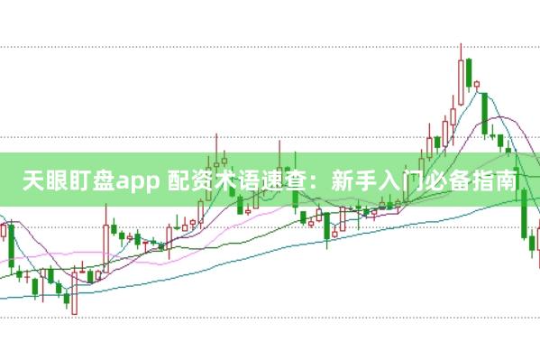 天眼盯盘app 配资术语速查:新手入门必备指南
