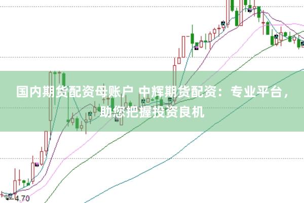 国内期货配资母账户 中辉期货配资:专业平台,助您把握投资良机