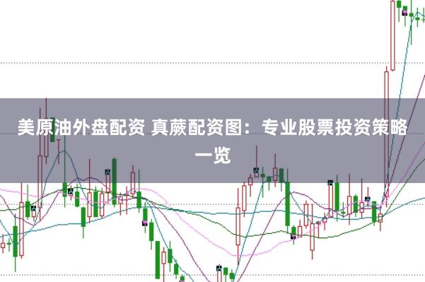 美原油外盘配资 真蕨配资图：专业股票投资策略一览