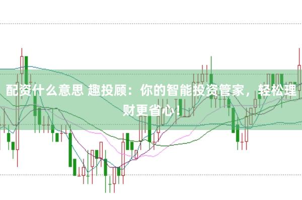 配资什么意思 趣投顾：你的智能投资管家，轻松理财更省心！