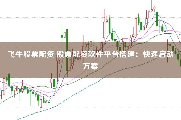 飞牛股票配资 股票配资软件平台搭建:快速启动方案