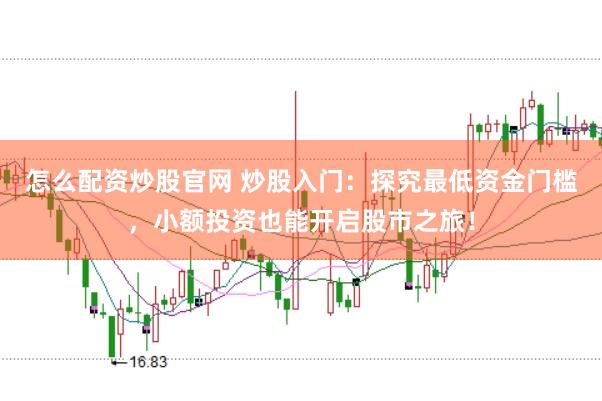 怎么配资炒股官网 炒股入门:探究最低资金门槛,小额投资也能开启股市之旅!