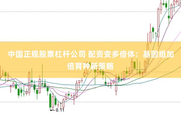 中国正规股票杠杆公司 配资变多倍体：基因组加倍育种新策略