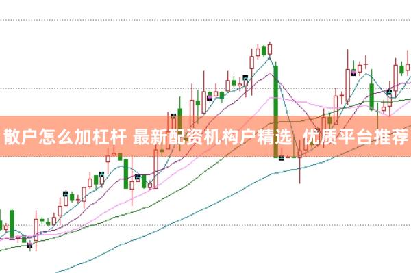 散户怎么加杠杆 最新配资机构户精选 优质平台推荐