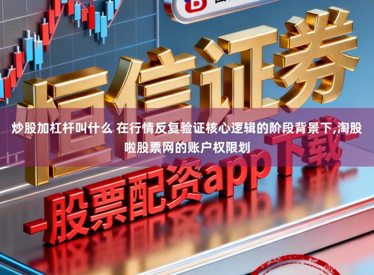 炒股加杠杆叫什么 在行情反复验证核心逻辑的阶段背景下,淘股啦股票网的账户权限划