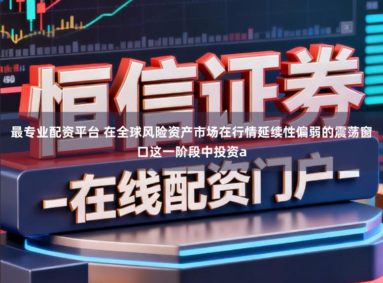 最专业配资平台 在全球风险资产市场在行情延续性偏弱的震荡窗口这一阶段中投资a