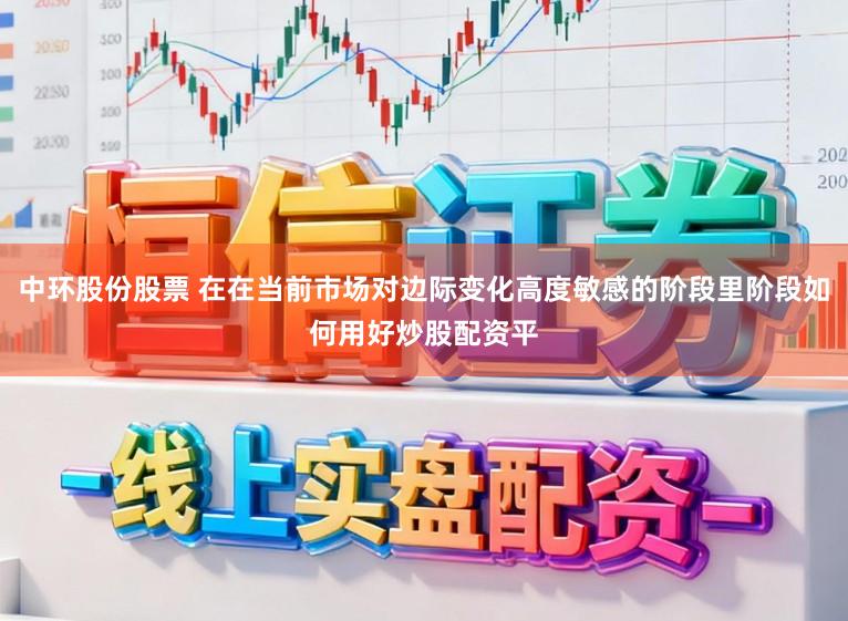 中环股份股票 在在当前市场对边际变化高度敏感的阶段里阶段如何用好炒股配资平