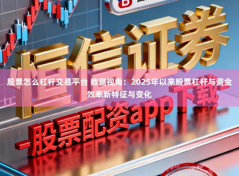 股票怎么杠杆交易平台 数据视角：2025年以来股票杠杆与资金效率新特征与变化